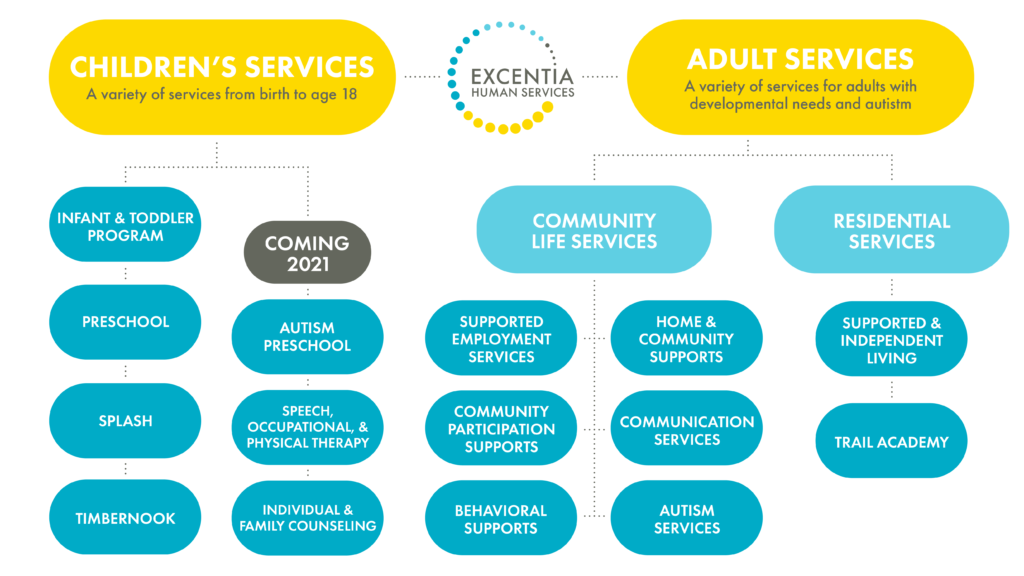 Excentia Breakdown of Children's and Adult Services. Including existing and new services.
